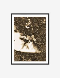 After The Rain II Photography Print By Getty Images